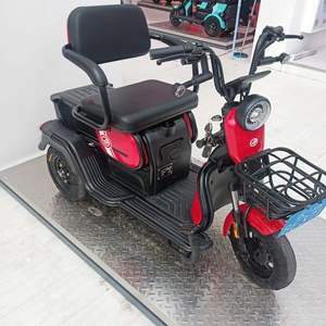 2024Nouveau tricycle électrique haute puissance <span class=keywords><strong>cargo</strong></span> tirant équipé UniversalFactory vente en gros de motos électriques tricycles électriques - Product Image 6