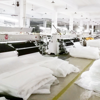 Échantillon Gratuit Nouveau Tissu en Polyester Brodé de Dentelle Extensible Biologique pour Robes d'Enfants, Mariages et Textiles de Maison