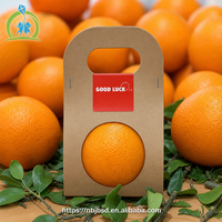 Boîte à pommes de Noël de luxe en papier kraft, sac cadeau portable pour fruits (pommes, oranges, poires) – Vente en gros