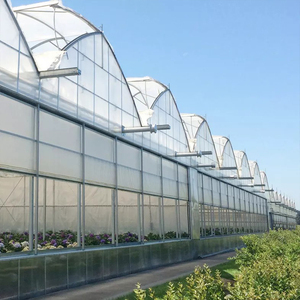 Multi-Span Agricultural Greenhouse <b>Large</b> Glass Cover Galvanized Steel Frame - Product Image 1