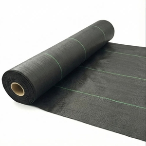 PP Geweven Membranen Grondbedekking <span class=keywords><strong>Mesh</strong></span> Onkruidmat Rol Anti-Onkruid Onkruidbestrijdingsdoek Waterdoorlatend Landbouwgebruik Op Maat Gesneden - Product Image 1