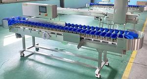 Máquina Clasificadora de Frutas y Verduras Automática Profesional, Clasificadora de Mango y Albaricoque, con Acero Inoxidable 304 - Product Image 3