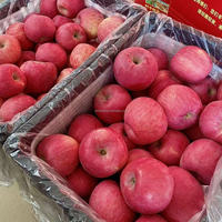 Harga Terbaik Apel Fuji Merah Segar Manis Grade 1 Shandong 20kg