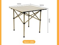 Table pliante portable d'extérieur en acier au carbone, ultralégère, pour pique-nique, camping, barbecue