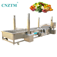 Automatische roestvrijstalen fruit- en groentewasmachine met motor voor noten, capaciteit 500-1000 kg/uur