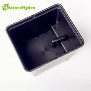 Invernadero comercial usado Cubos hidropónicos holandeses baratos Cubo de plástico Bato para la venta - Product Image 4