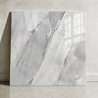 Carreaux de sol en porcelaine 60x60, 1200x1200, 600x600, gris clair veiné marbre, brillant, en grès cérame pour salon