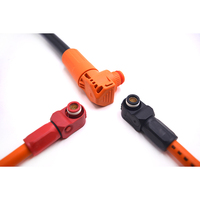 Connecteur Amphenol Radlock personnalisé pour faisceau de câblage énergétique, câble d'alimentation haute tension pour stockage de batterie EVR25mm²