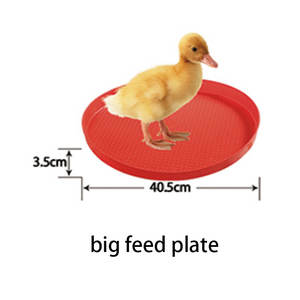 Plato <span class=keywords><strong>de</strong></span> Alimentación <span class=keywords><strong>de</strong></span> Alta Calidad para <span class=keywords><strong>Pollos</strong></span>, Bandeja para Comederos <span class=keywords><strong>de</strong></span> Aves <span class=keywords><strong>de</strong></span> <span class=keywords><strong>Corral</strong></span>, Plataforma para Pollitos <span class=keywords><strong>de</strong></span> un Día, Bandeja <span class=keywords><strong>de</strong></span> Inicio para Alimentación - Product Image 4