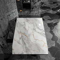 Panneaux muraux en marbre WPC/PVC imperméables Ashanti, design moderne en marbre 3D PET/charbon de bambou, feuille UV pour appartement moderne, carbone
