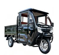 Tricycle électrique fermé certifié CEE 72V 1800W, 2 places, 45 km/h, charge lourde, 3 roues, batterie au lithium