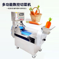 Automatische motor aangedreven fruit-, groente-, ui-, peper- en wortelsnijmachine YQC850 model, 1 jaar garantie