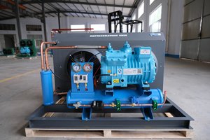 Phòng lạnh Emerson copeland, phòng lạnh máy nén <span class=keywords><strong>bitzer</strong></span>, phòng lạnh khách sạn - Product Image 5