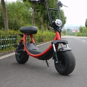 1000วัตต์ Moto Electricar สำหรับผู้ใหญ่ที่ถอดออกได้แบตเตอรี่ลิเธียมรถจักรยานยนต์ไฟฟ้า