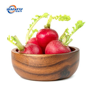 天然色素にんじんエキス濃縮赤大根色カラフルな発酵食品 & フレーバー用 - Product Image 5