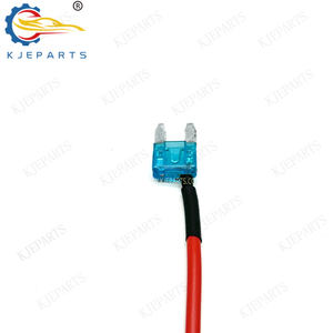 MINI 2 pines adaptador fusible circuito aparato eléctrico arnés de cableado con Mini 15A fusible - Product Image 3