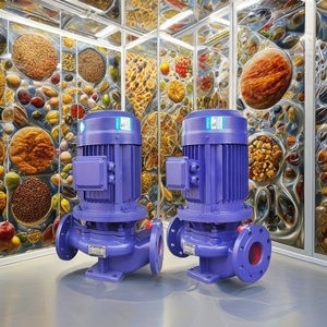 Pompe à circulation verticale série IRG, pompe à eau industrielle électrique, pompe de surpression, industrie du biocarburant, fonte, OEM pris en charge, aspiration 2 - Product Image 2
