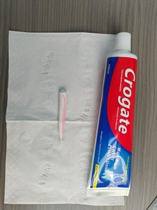 Bán buôn 100 gram kem đánh răng có hương vị bạc hà để làm mới hơi thở, bảo vệ nướu và chăm sóc men răng - Product Image 3