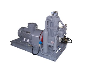 Compresseur d'air à courant alternatif à conversion de fréquence, lubrification sans huile, petit compresseur à gaz mixte, type refroidi par air - Product Image 5