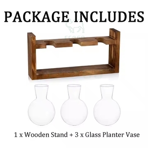 2025 nuevo juego de propagación de vidrio soporte de madera bombilla jarrón de vidrio planta verde hidropónica - Product Image 2