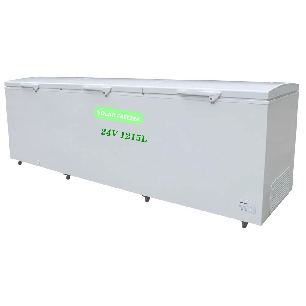 좋은 품질 OEM 태양 전지 및 배터리 전원 12V 24V DC 냉장고 태양 DC 냉장고, 태양 냉장고 (BD-165)