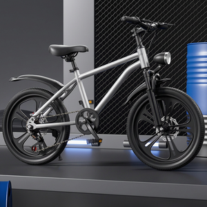 Vélo pour enfants Phoenix, 18-20 pouces, fourche en aluminium, frein à câble, pour filles de 6 à 15 ans - Product Image 1