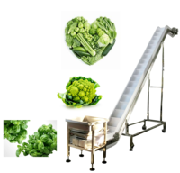 Automatische Multihead Frozen Fruit Tray Box Vulmachine Verse Groenten Salade Clamshell Packing Machine