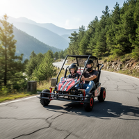 QIQU Go Kart Eléctrico Comercial con Transmisión por Eje, 48V 500W, Sin Escobillas, para Carreras Padre-Hijo, Capacidad de Carga 200kg, Freno de Disco Hidráulico, para Exteriores