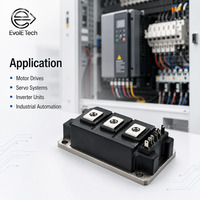 Module IGBT EVOL-EVWGM300B1-1170GDWB6EN 1700V 300A Triphasé Haute Fiabilité Faible Perte pour Commande de Moteur et Soudage