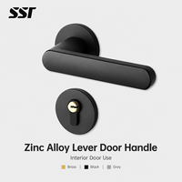 Ensemble de poignées de porte en alliage de zinc moderne, finition laiton noir gris, pour portes intérieures en bois, chambre à coucher, hôtel