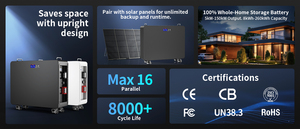 51.2V 200AH LiFePO4 <b>Energy</b> <b>Storage</b> Battery Pack 48V Solar Lithium Ion Battery 10Kwh Home <b>Energy</b> <b>Storage</b> <b>System</b> - Product Image 5