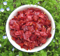 Chiles Rojos Cortados y Secos en Trozos de 0.5-1.5cm, Sabor Picante Intenso para Cocinar como Especia