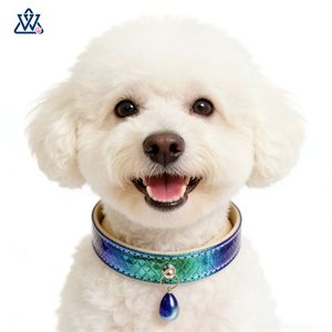 Collier pour animaux de compagnie Wangwuwu, motif sirène dégradé, réglable, pour petits chiens et chats, élégant, motif quadrillé coloré - Product Image 3