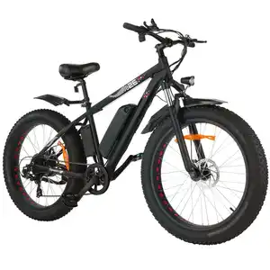 26 Inci 48V 700 W 750W Ecotric Ebike Sepeda E-Sepeda E-Sepeda E Siklus Yang Tinggi Kualitas Ban Ban Ban Sepeda