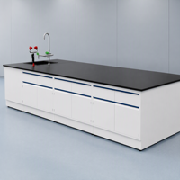 Mesa de Laboratorio Central de Acero con Cubierta de Resina Epoxi Personalizada, con Cajones y Armarios, para Pruebas Ambientales de Agua