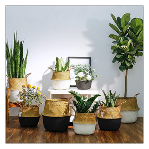 Venta al por mayor hecho a mano tejido de la planta de almacenaje del vientre canasta - Product Image 4