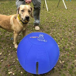 Pelota de Yoga para Mascotas, Resistente al Agua, Cubierta con Tela Resistente, Divertida y Duradera para Perros, para Jugar y Correr - Product Image 2