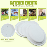 Assiette ovale jetable en bagasse de 10 et 12 pouces, compatible micro-ondes, biodégradable, naturelle/blanche, pour repas