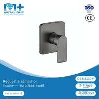 Robinet Mitigeur de Douche Mural Moderne en Laiton Métallique F340001-GM, Gris Anthracite PVD, Durable, Facile à Nettoyer