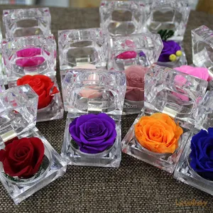 Campione gratuito 1 pz eternal flower promise ring box red rose flower small ring box rose stabilizzate mini box ring