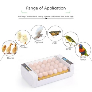 24 nhỏ hoàn toàn tự động lồng ấp và brooder 96 pcs, 24 pcs tự động trứng-turing Hot 8-10years - Product Image 2