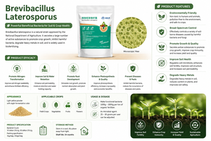 Poudre de Bacillus Laterosporus hydrosoluble 100 milliards d'UFC/g pour fertigation, pulvérisation foliaire et application en étang aquacole - Product Image 5