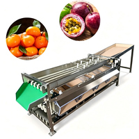 304 RVS Fruit- en Groentesorteermachine, Multifunctioneel, Grote Capaciteit, Tomaten, Aardappelen, Kersen Sorteermachine