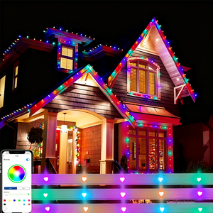 Luces LED de Navidad para Aleros, Stock de Fábrica, DC12v 24v, IP68 Impermeables, Luces Permanentes para Exteriores, Luces LED de Colores Cambiantes - Product Image 3