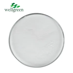 Wellgreen USP Grade 99% Glycinate de zinc CAS 7214-08-6 30% Poudre de zinc