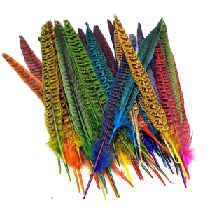 Vente en gros de plumes teintes de queue de faisan 10-35 cm naturelles pour chapeaux de chapellerie - Product Image 2