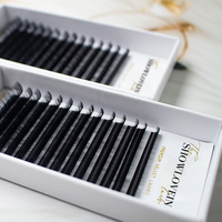 Extensions de cils en volume douces personnalisées de 6 à 25 mm, plateaux de 0,03, 0,05, 0,07 mm, noir mat, cachemire