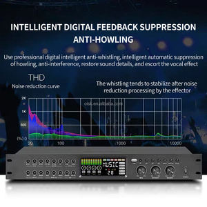 Preamplificador de Metal Profesional Clavax CLAM-KT-1/KTS-1, Procesador de Eco, Procesador de Audio con Supresor de Retroalimentación para Karaoke en Casa - Product Image 4