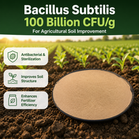 Poudre de Bacillus Subtilis, Stimulant de Croissance des Plantes, 100 Milliards d'UFC/g, Favorise la Vitalité des Racines, Efficacité des Engrais, Agricole