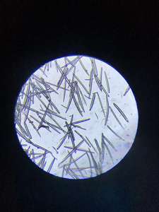 प्रभावी Furple furing के लिए प्राकृतिक सफेद जंगली हर्बल अर्क स्पंज पाउडर 99% पेशेवर ग्रेड - Product Image 5